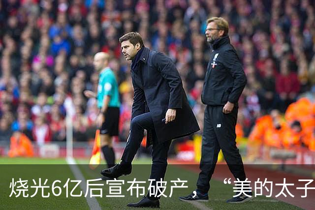 烧光6亿后宣布破产，“美的太子”在机器人上栽了个跟头